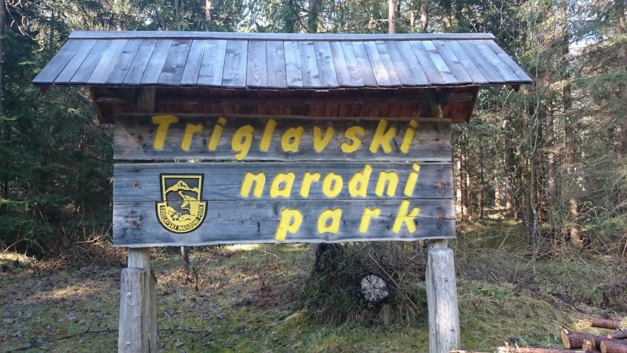 Zajcek Apartma Mojstrana Extérieur photo