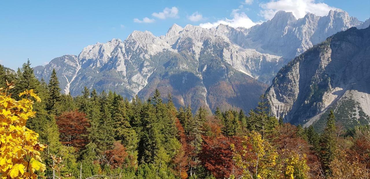 Zajcek Apartma Mojstrana Extérieur photo