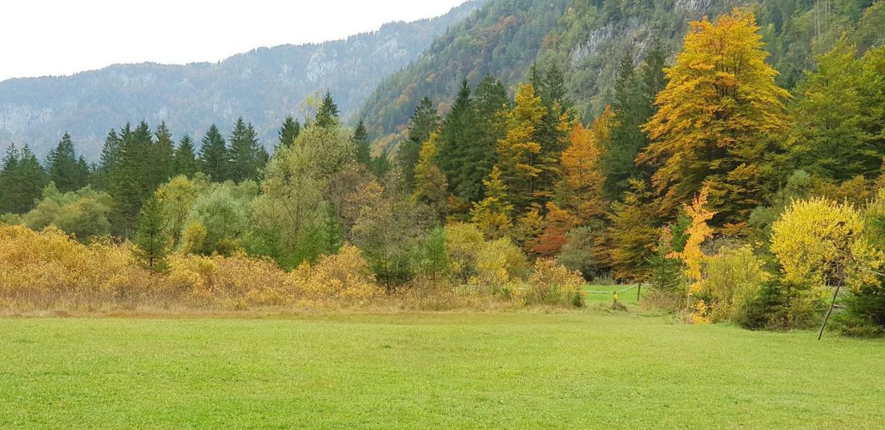Zajcek Apartma Mojstrana Extérieur photo